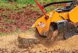 Leaf Removal in West Salem, WI